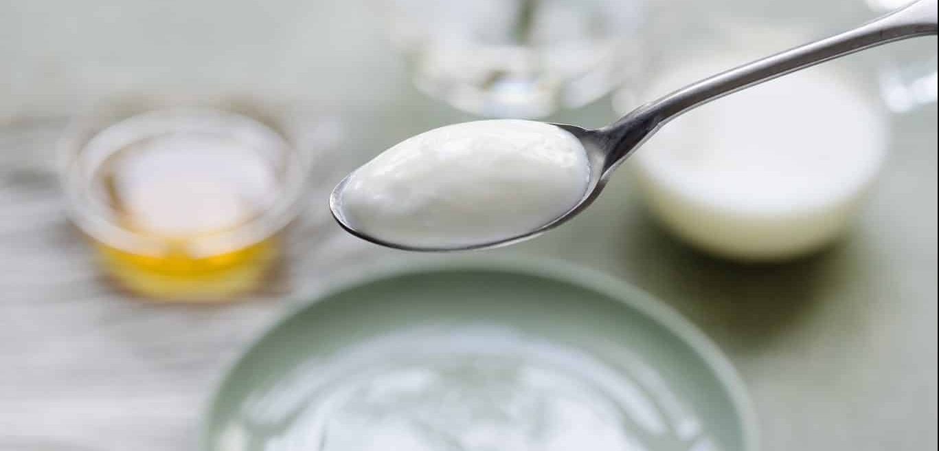 Yaourt vanille au lait de brebis — Yaourts