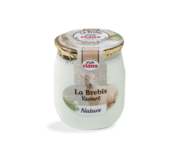 Nouveaux yaourts au lait de brebis SOIGNON - La veille des innovations  alimentaires