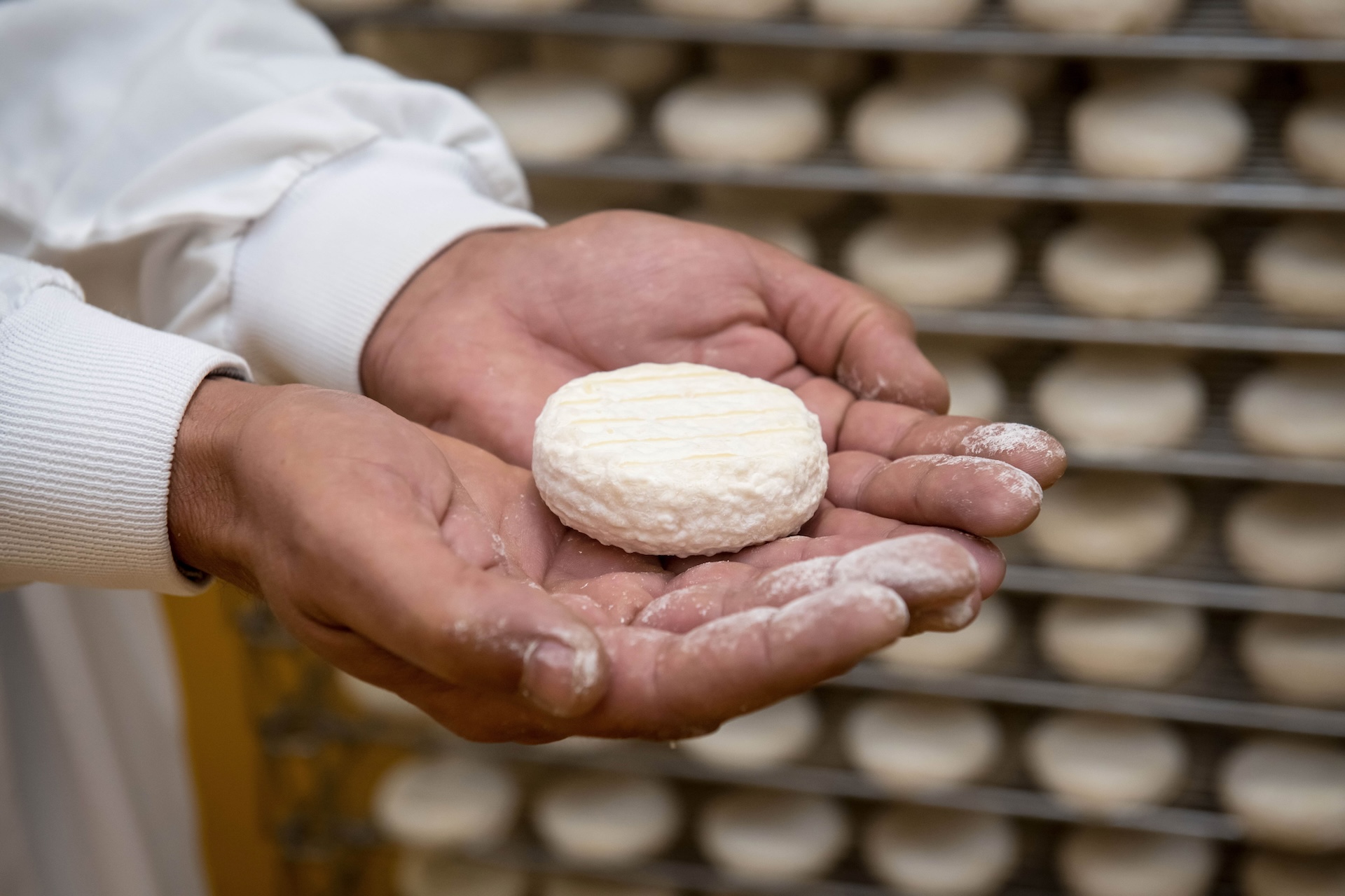 fabrication fromage