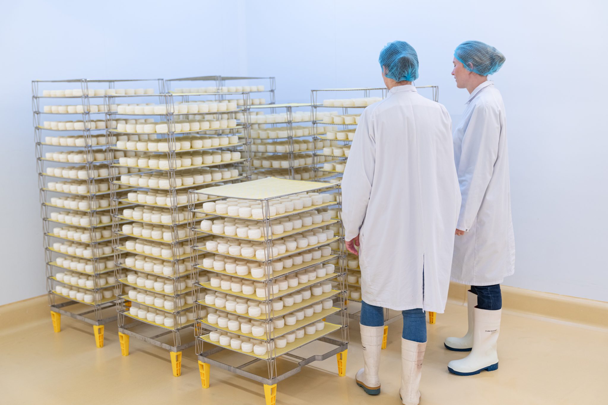 conservation fromage